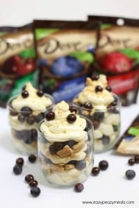Lemon Whipped Cheesecake Trifles with DOVE® Fruit Blueberries - Easy ...