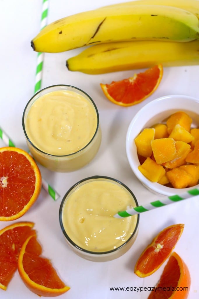 Blendtec Giveaway & Creamy Orange Dreamy Smoothie Recipe - Easy Peasy Meals