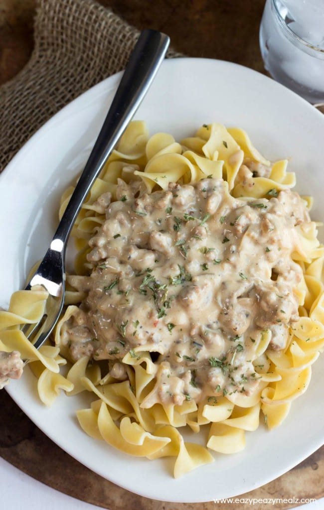 Not-Too Spicy Turkey Stroganoff - Easy Peasy Meals