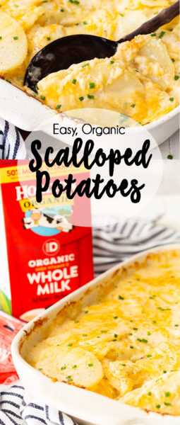 Scalloped Potatoes - Easy Peasy Meals
