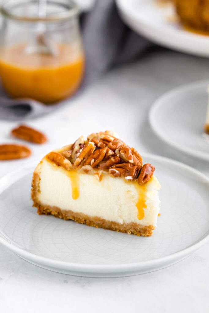 Instant Pot Cheesecake - Easy Peasy Meals