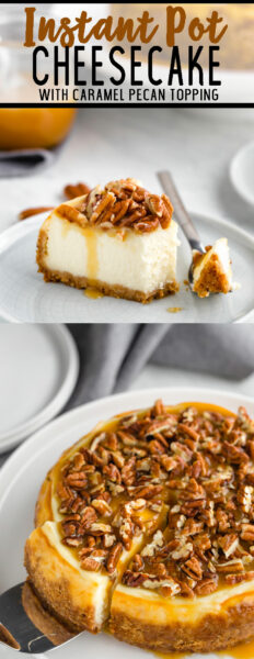 Instant Pot Cheesecake - Easy Peasy Meals