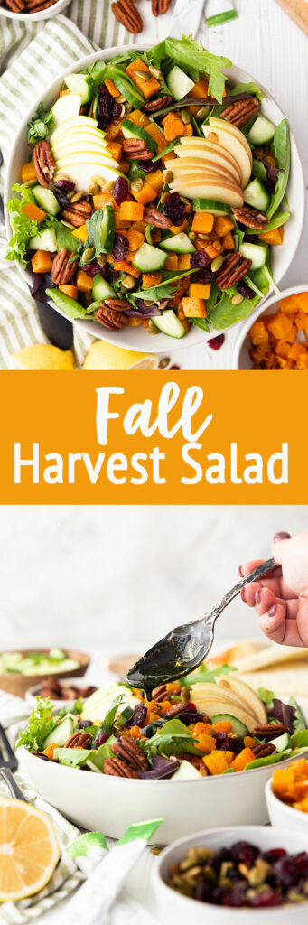 Fall Harvest Salad - Easy Peasy Meals