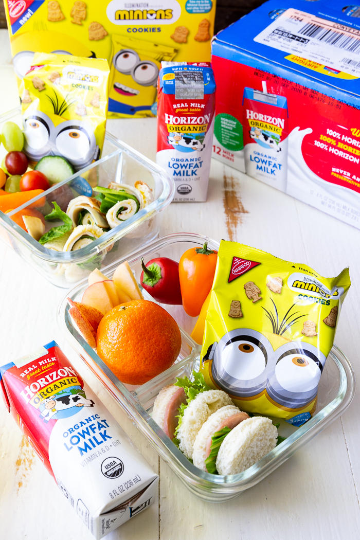 18 Great Lunch Box Ideas for Kids