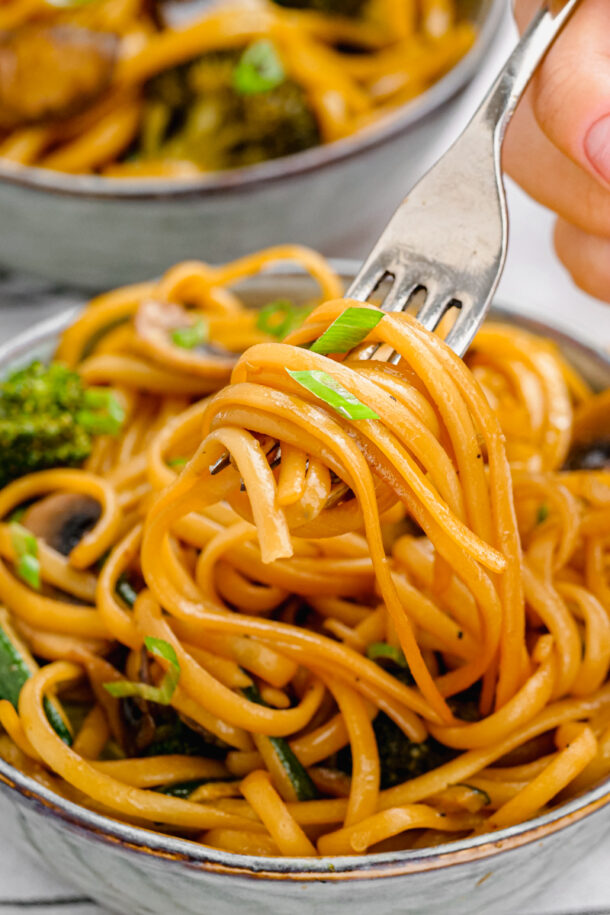 Hibachi Noodles - Easy Peasy Meals