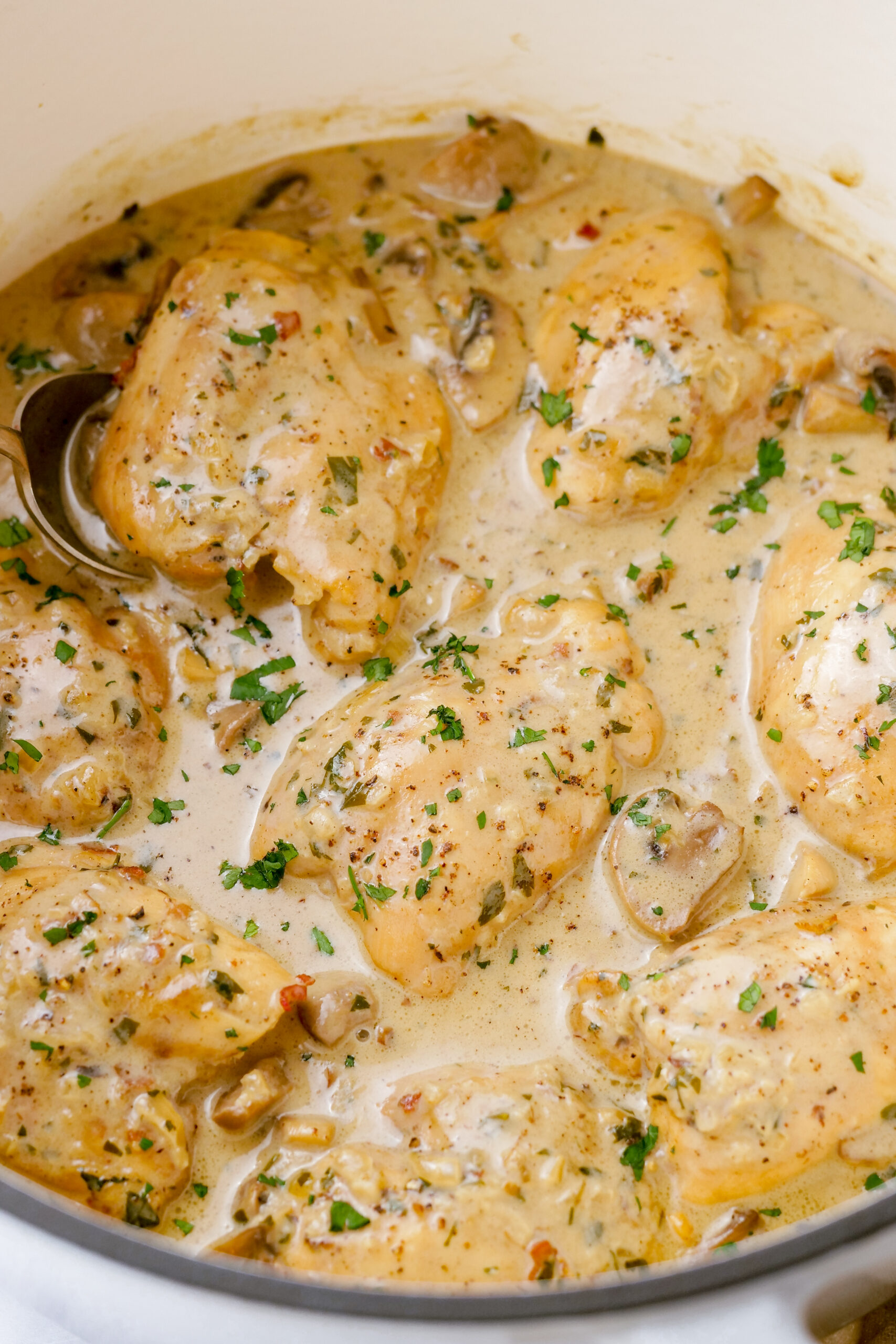 Chicken Fricassee - Easy Peasy Meals