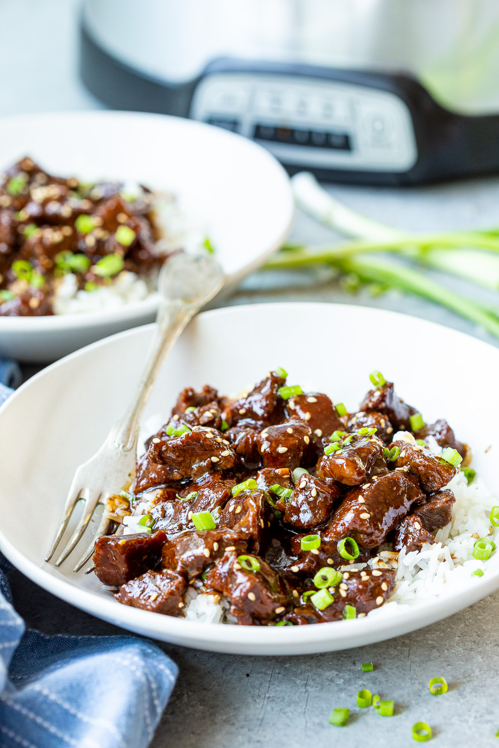 Slow Cooker Teriyaki Beef - Easy Peasy Meals