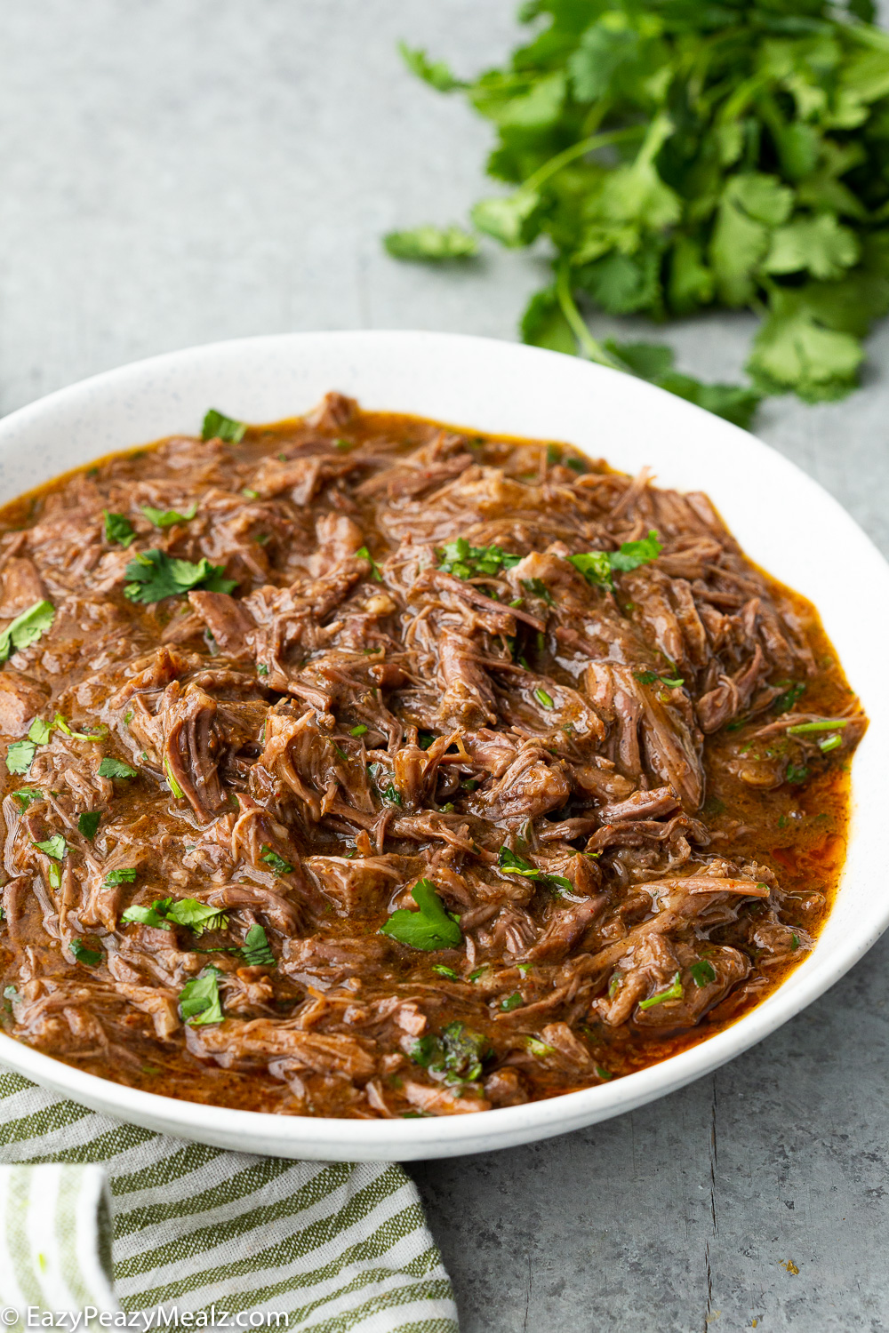 Instant Pot Shredded Beef, a deliciously tender and flavorful beef cooked in no time. 