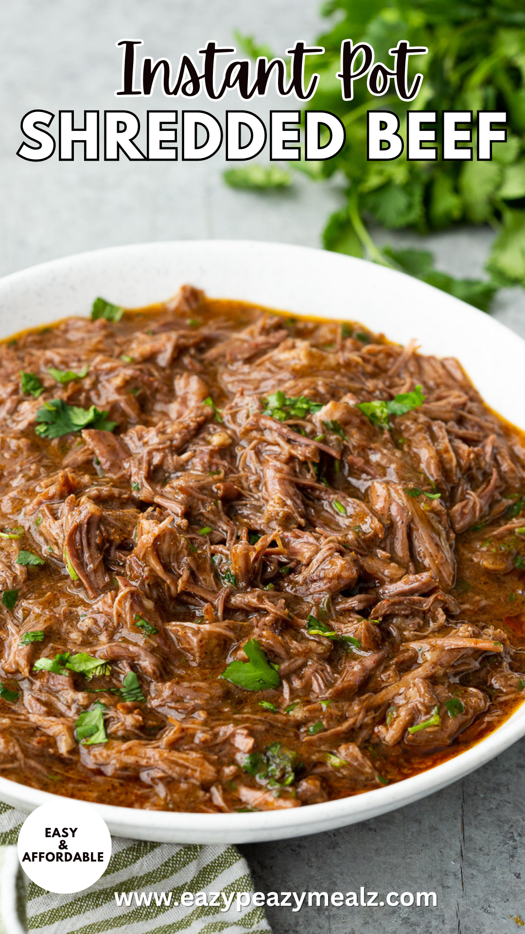 Instant Pot Shredded Beef!