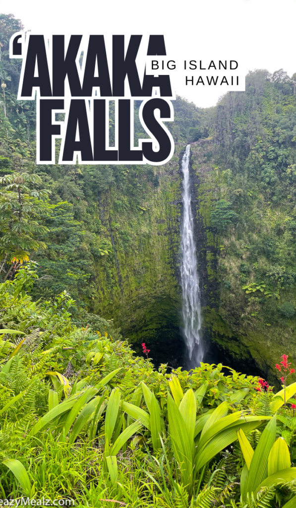 'Akaka Falls Hawaii Big Island - Easy Peasy Meals